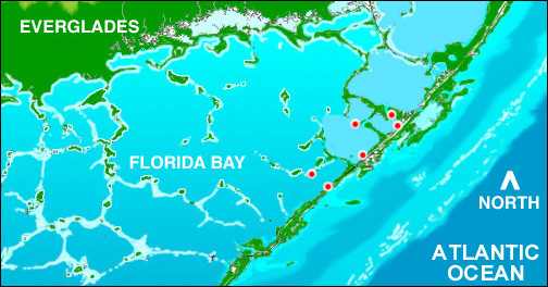 Jpeg image of Florida Bay