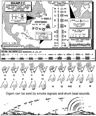 Ogamic data image