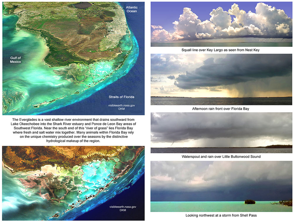 Image of Florida Bay and clouds