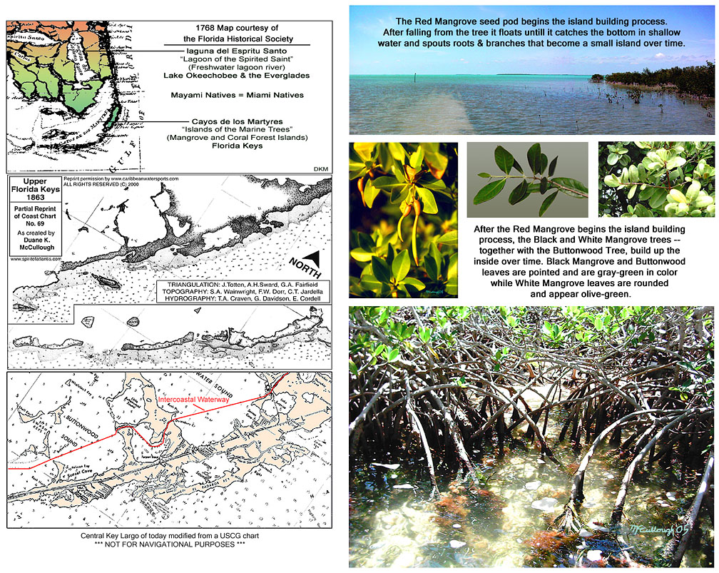 Image of Old Florida Map and Mangrove Islands